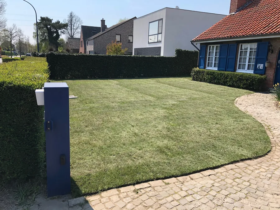 Na: voortuin met nieuw gazon