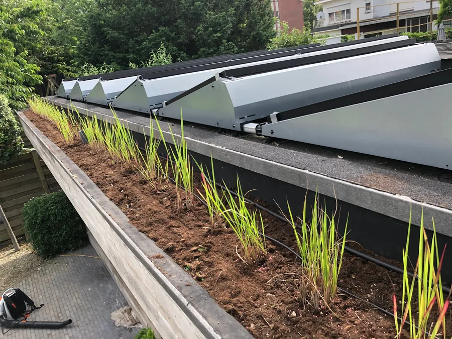Groendak met aanplanting