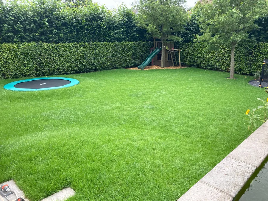 Afgewerkte tuin met nieuw gazon en speelzone