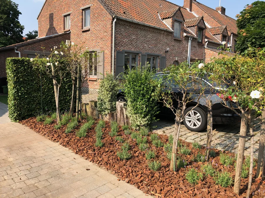 Nieuw aangeplante voortuin met boompjes en borders